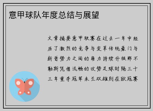 意甲球队年度总结与展望